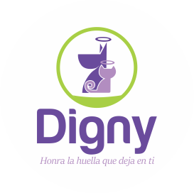 digny logo fondo blanco