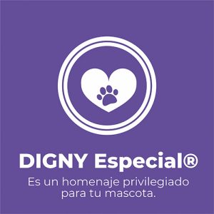 Digny Especial