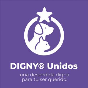 Digny Unidos